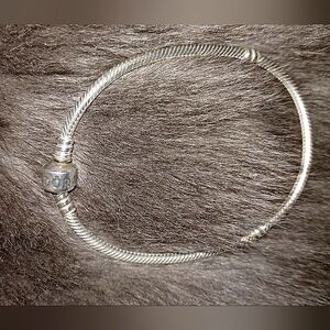 Pandora Serpentine Charm Bracelet